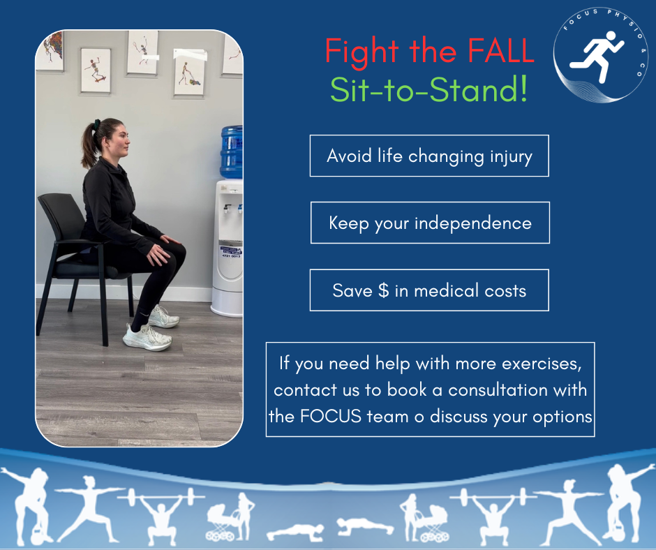 Sit To Stand clip